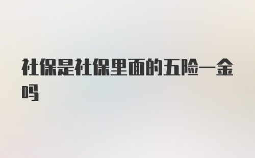 社保是社保里面的五险一金吗