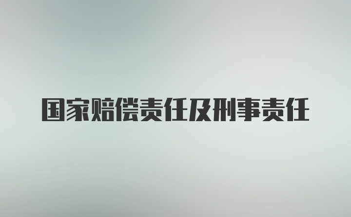 国家赔偿责任及刑事责任