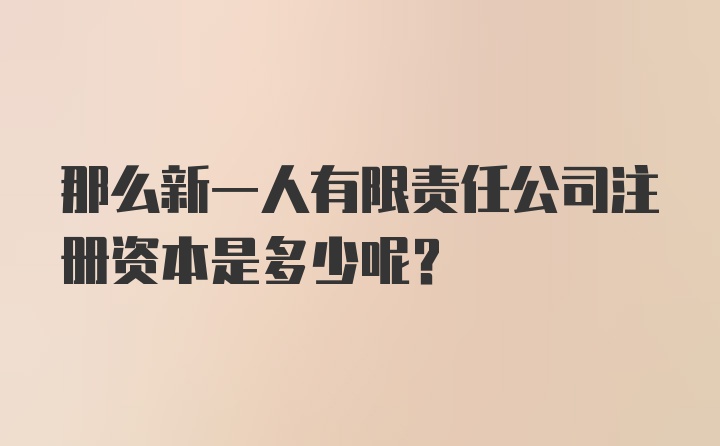 那么新一人有限责任公司注册资本是多少呢？