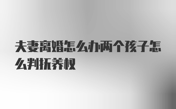 夫妻离婚怎么办两个孩子怎么判抚养权