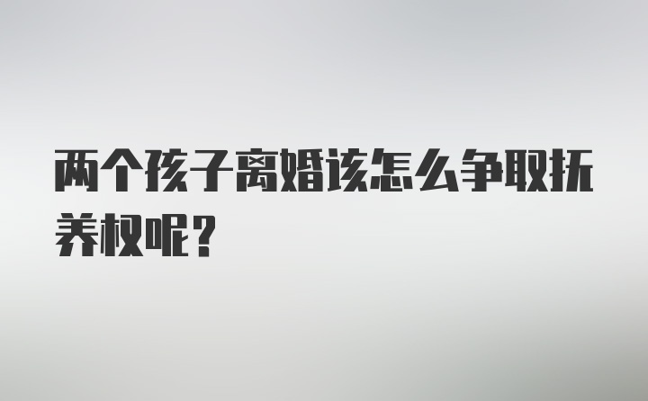 两个孩子离婚该怎么争取抚养权呢？