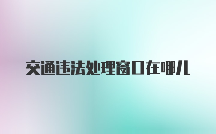 交通违法处理窗口在哪儿