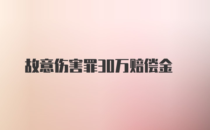 故意伤害罪30万赔偿金