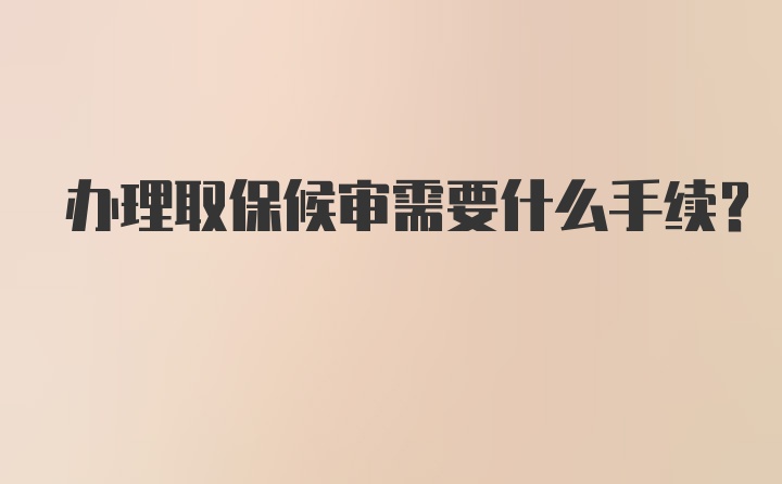 办理取保候审需要什么手续？