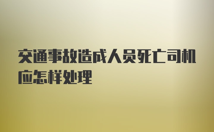 交通事故造成人员死亡司机应怎样处理