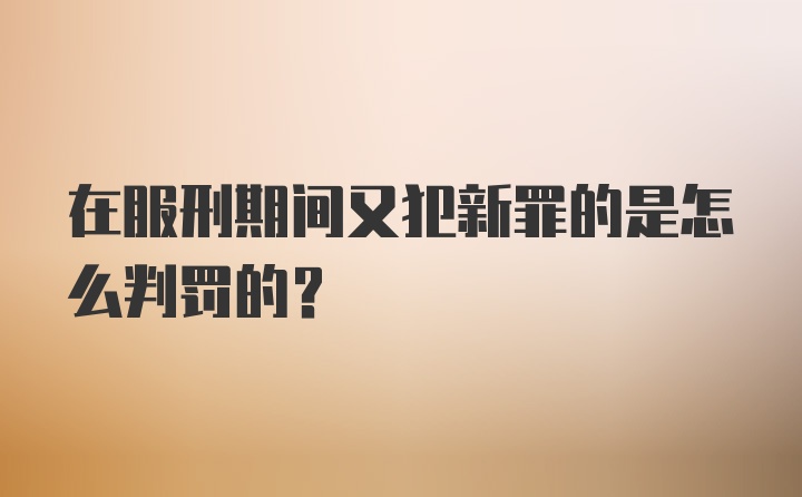 在服刑期间又犯新罪的是怎么判罚的？