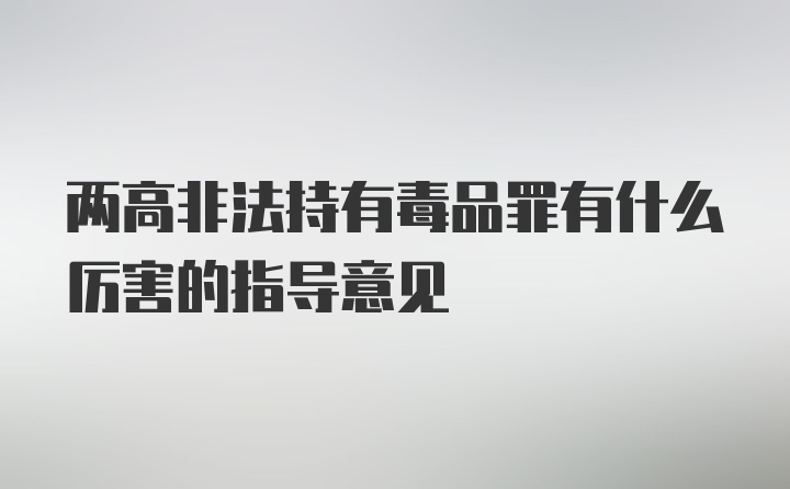 两高非法持有毒品罪有什么厉害的指导意见