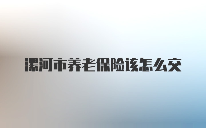 漯河市养老保险该怎么交