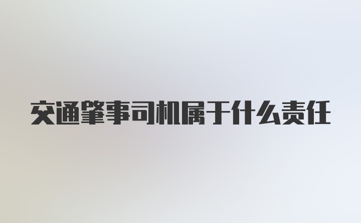 交通肇事司机属于什么责任