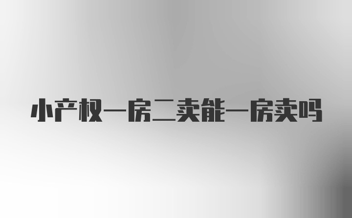 小产权一房二卖能一房卖吗