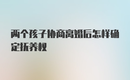 两个孩子协商离婚后怎样确定抚养权