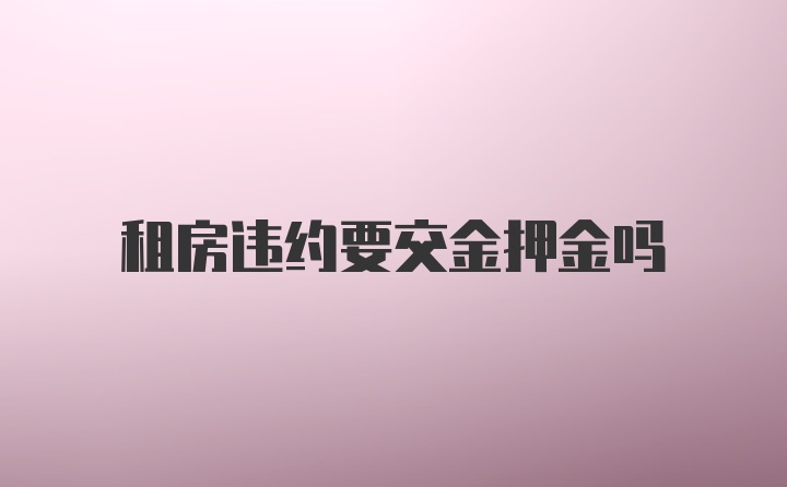 租房违约要交金押金吗