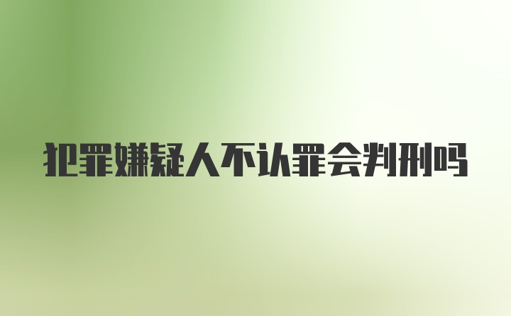 犯罪嫌疑人不认罪会判刑吗