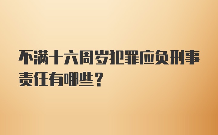 不满十六周岁犯罪应负刑事责任有哪些？