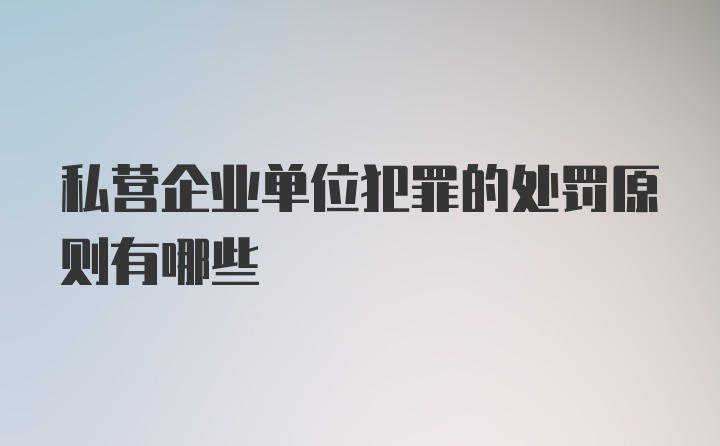 私营企业单位犯罪的处罚原则有哪些