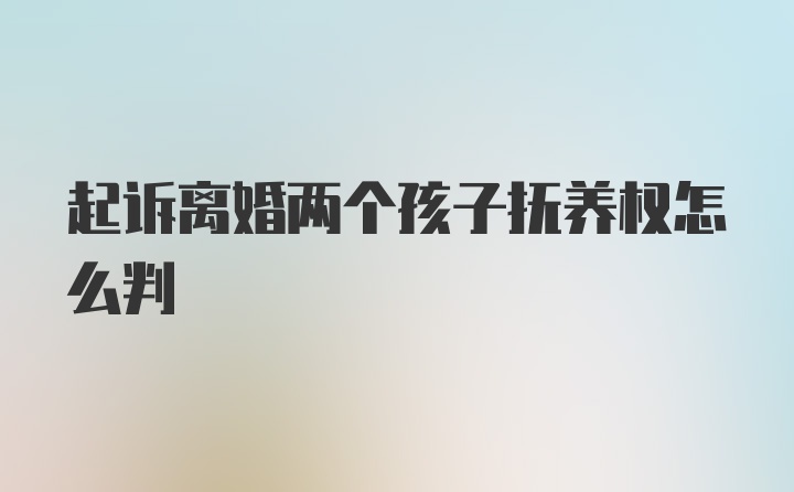 起诉离婚两个孩子抚养权怎么判