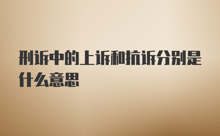 刑诉中的上诉和抗诉分别是什么意思