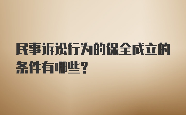 民事诉讼行为的保全成立的条件有哪些？