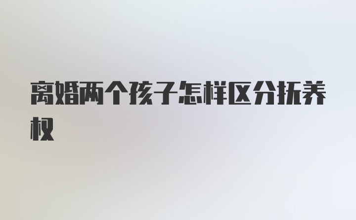 离婚两个孩子怎样区分抚养权