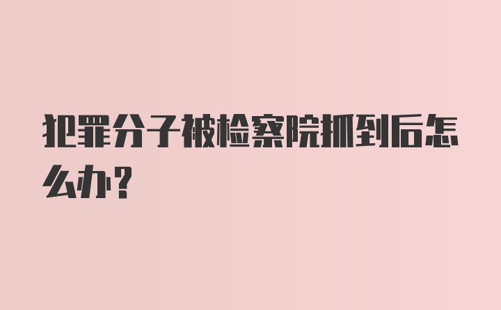 犯罪分子被检察院抓到后怎么办？