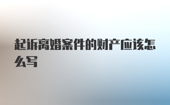 起诉离婚案件的财产应该怎么写