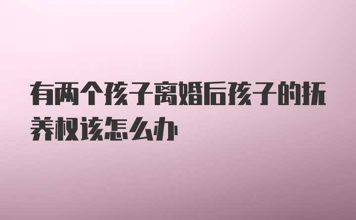 有两个孩子离婚后孩子的抚养权该怎么办