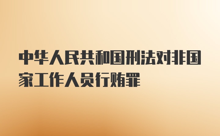 中华人民共和国刑法对非国家工作人员行贿罪