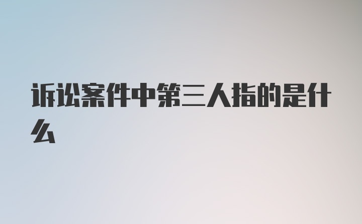 诉讼案件中第三人指的是什么