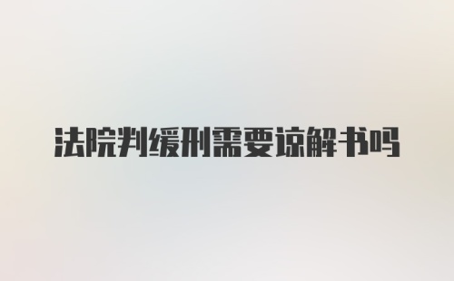 法院判缓刑需要谅解书吗