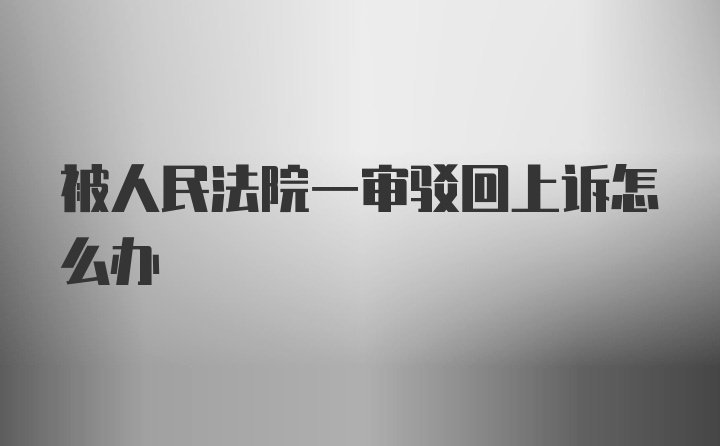 被人民法院一审驳回上诉怎么办