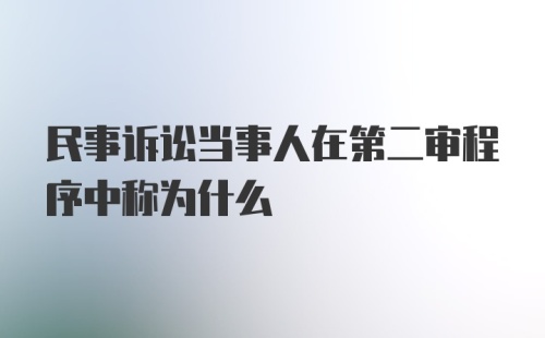 民事诉讼当事人在第二审程序中称为什么