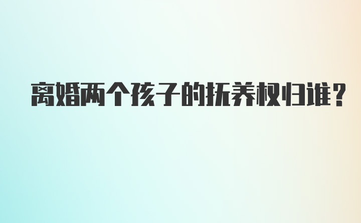 离婚两个孩子的抚养权归谁？