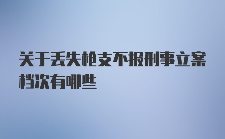 关于丢失枪支不报刑事立案档次有哪些