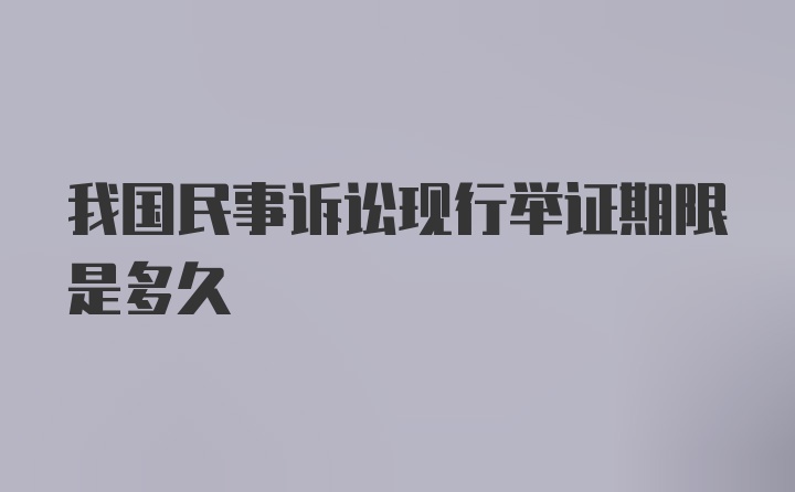 我国民事诉讼现行举证期限是多久