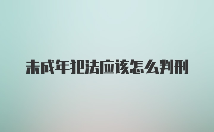 未成年犯法应该怎么判刑