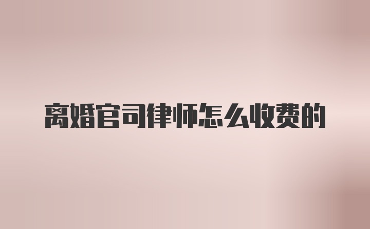 离婚官司律师怎么收费的