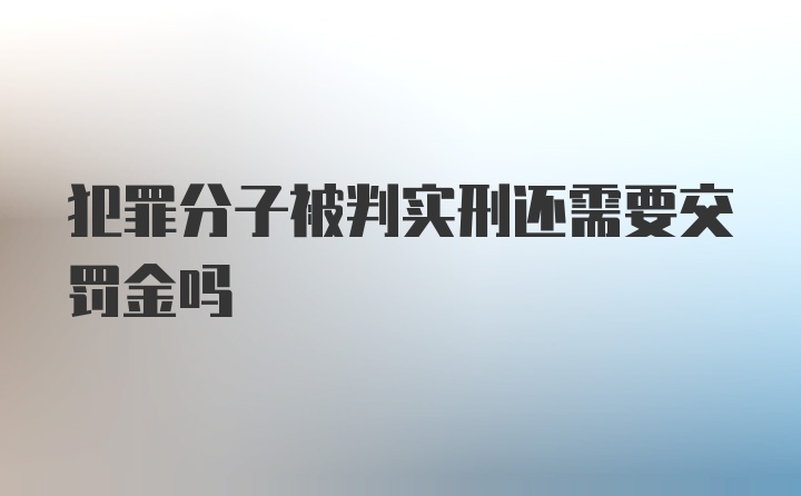 犯罪分子被判实刑还需要交罚金吗