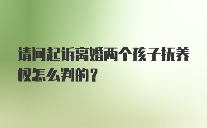 请问起诉离婚两个孩子抚养权怎么判的？