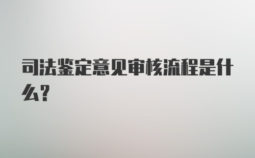 司法鉴定意见审核流程是什么？