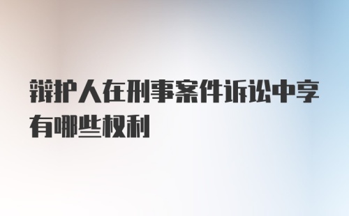 辩护人在刑事案件诉讼中享有哪些权利