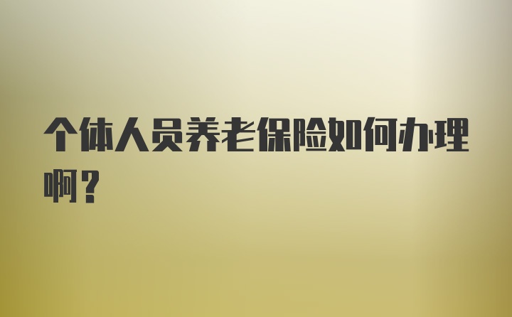 个体人员养老保险如何办理啊？