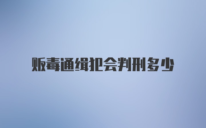 贩毒通缉犯会判刑多少