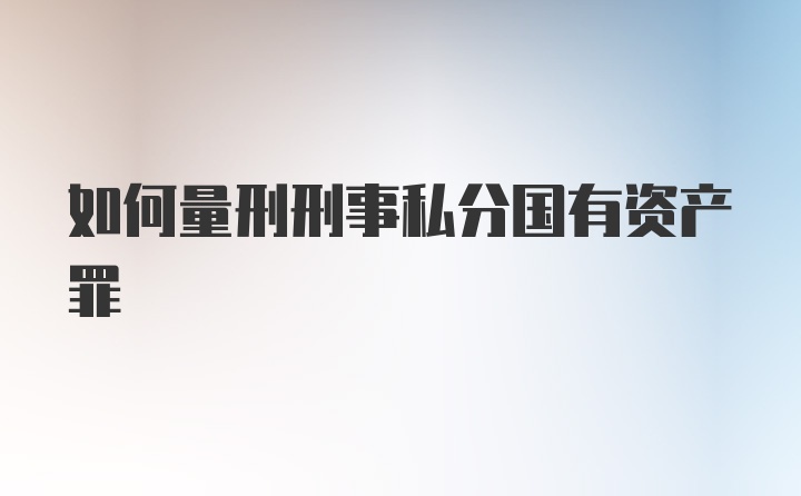 如何量刑刑事私分国有资产罪