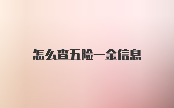 怎么查五险一金信息