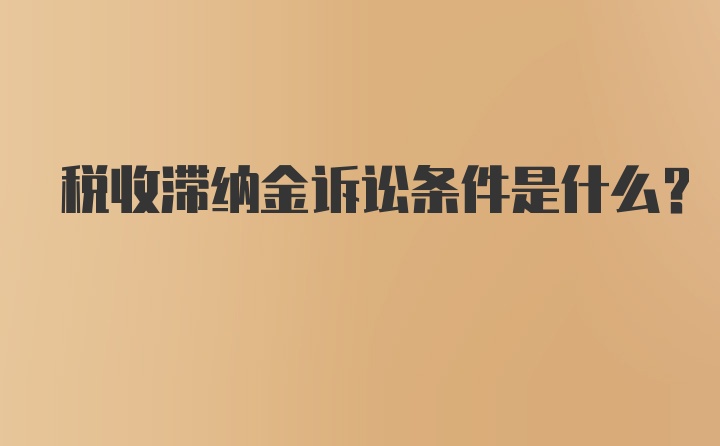 税收滞纳金诉讼条件是什么？