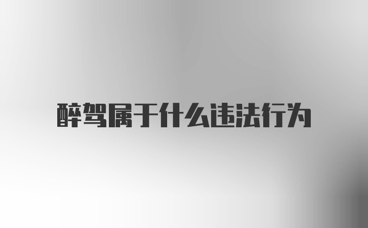 醉驾属于什么违法行为