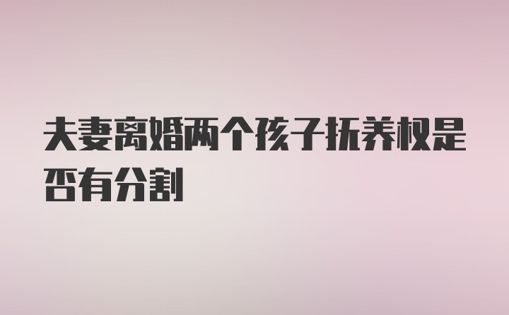 夫妻离婚两个孩子抚养权是否有分割