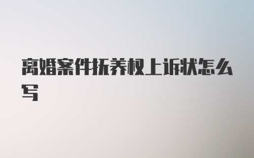 离婚案件抚养权上诉状怎么写