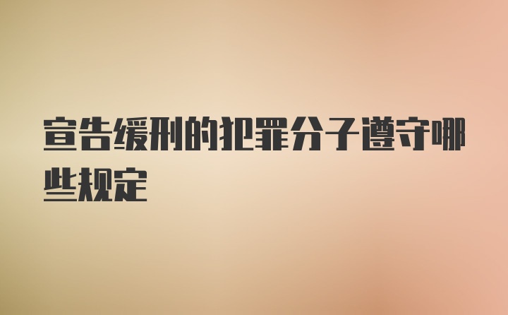 宣告缓刑的犯罪分子遵守哪些规定