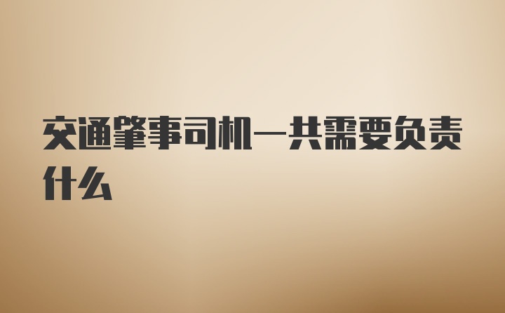 交通肇事司机一共需要负责什么